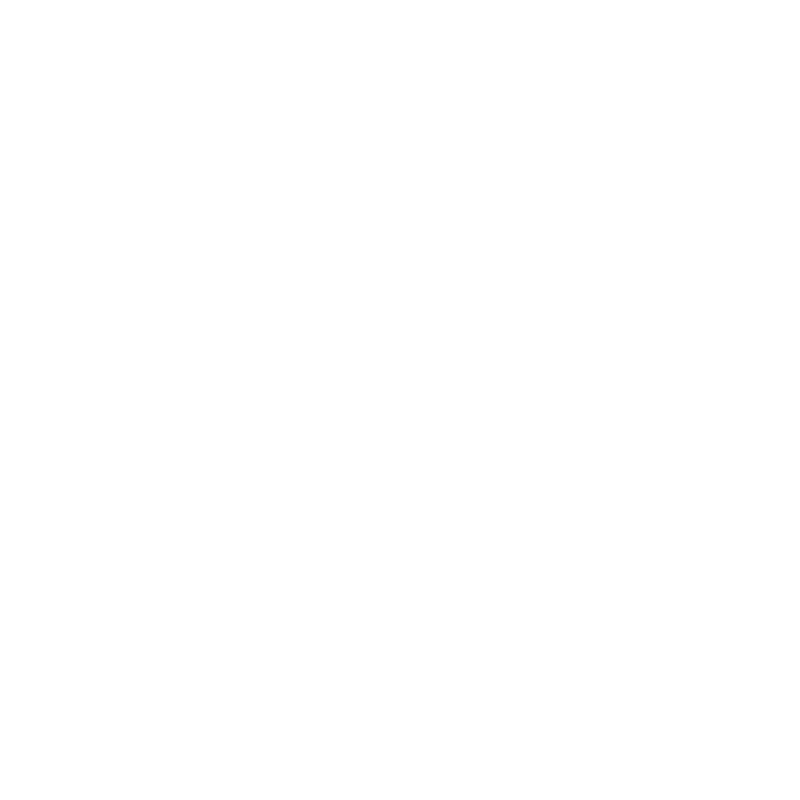 Safy Agency